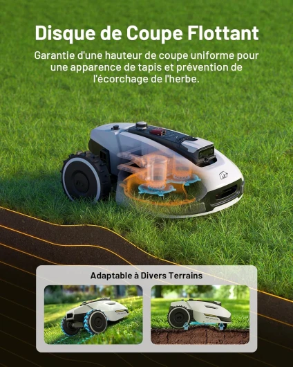 81u4QEr24dL._AC_SL1500_