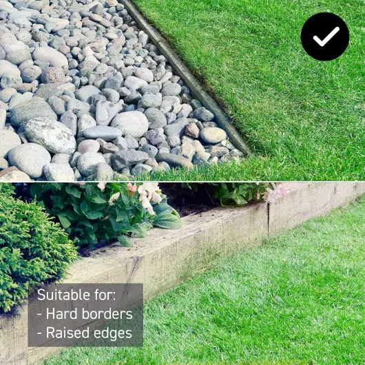 91Euoyq-rOL._AC_SL1500_