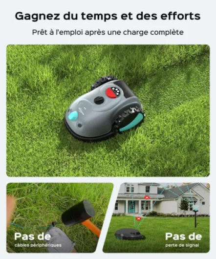 81ibLEw6o9L._AC_SL1500_