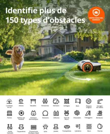 71bDxJdMImL._AC_SL1500_