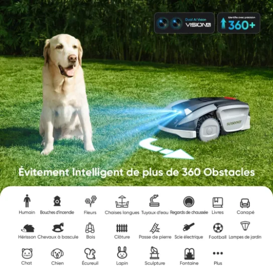 81Ojd7WCtvL._AC_SL1500_