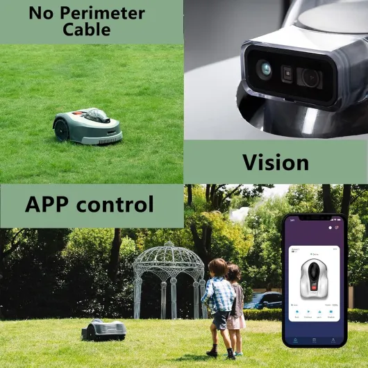 81SC-B maLL._AC_SL1500_