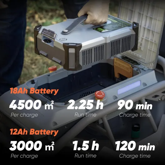 71gB sW3M8L._AC_SL1500_