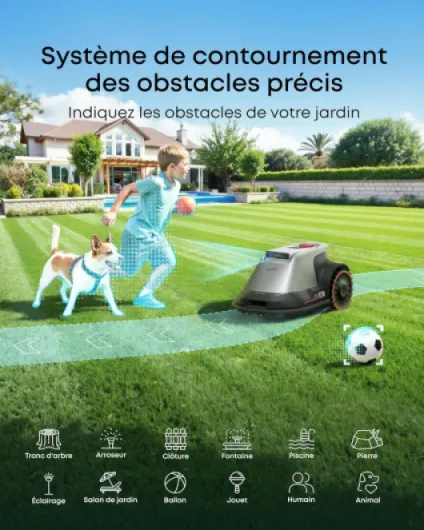 81I bywNWPL._AC_SL1500_