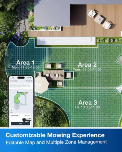 91jM56a03OL._AC_SL1500_