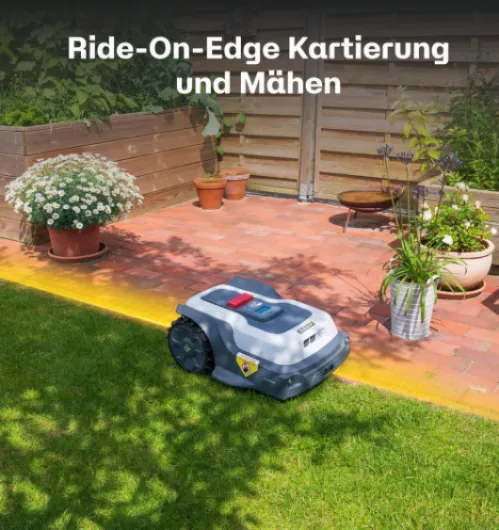 81dPYoUTHlL._AC_SL1500_