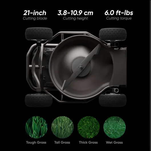 61qNDt3kr2L._AC_SL1500_