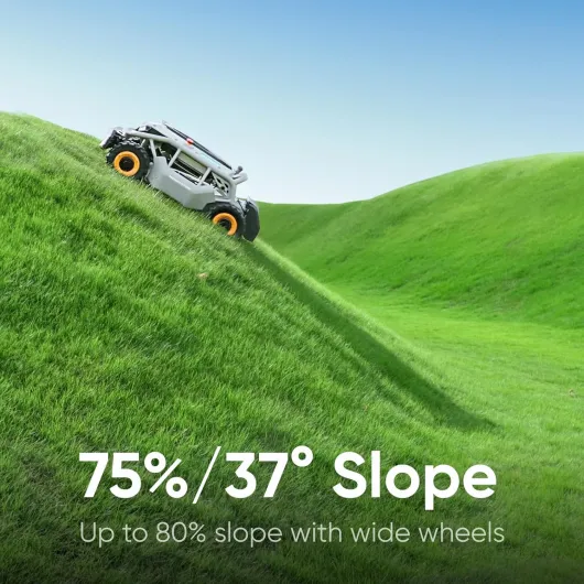 817eHXPZ-0L._AC_SL1500_