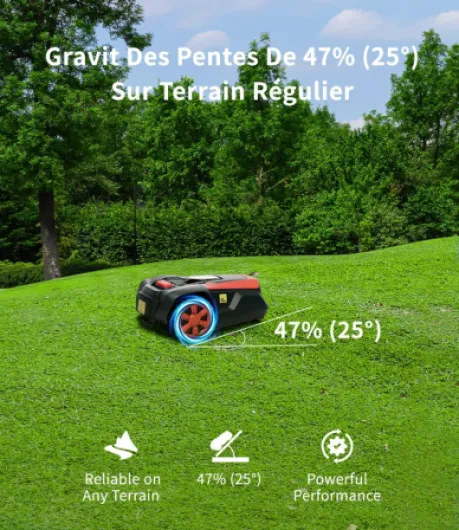 811Q-oYJMHL._AC_SL1500_