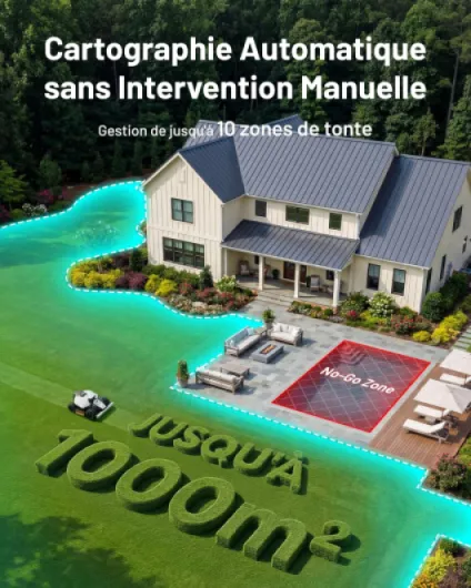 81crdzdqhxL._AC_SL1500_