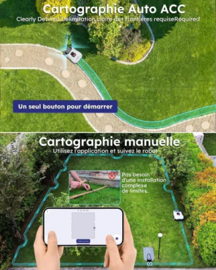 81-Jj1QNYOL._AC_SL1500_