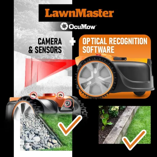 71FxjB0JBFL._AC_SL1000_