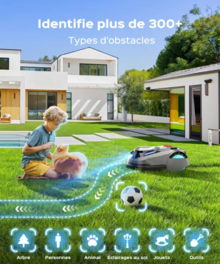 81txbvGraKL._AC_SL1500_