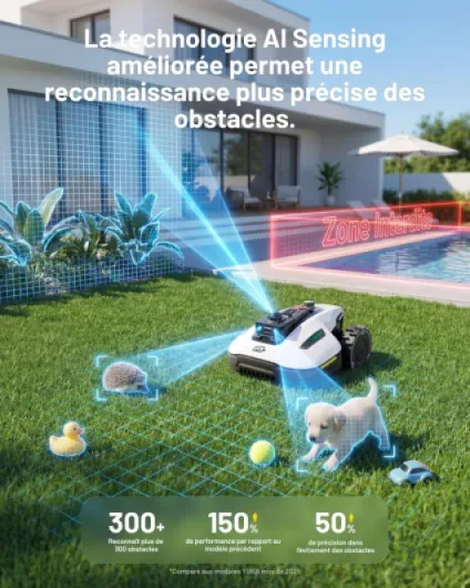 81l0EtNzQ2L._AC_SL1500_