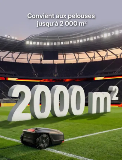 71cZ9nt1uQL._AC_SL1500_