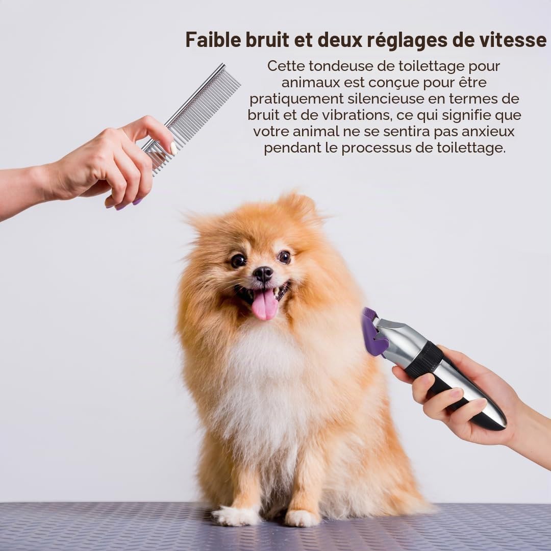 Tondeuse sans fil pour animaux de compagnie, Lames en céramique, écran LED, charge rapide, tondeuse électrique pour chiens et chats, QR-9082 Argent