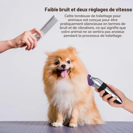 Tondeuse sans fil pour animaux de compagnie, Lames en céramique, écran LED, charge rapide, tondeuse électrique pour chiens et chats, QR-9082 Argent