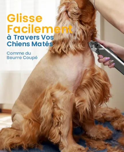 Tondeuse à poils pour chiens de haute qualité, tondeuse sans fil entièrement étanche IPX7, adaptée aux poils longs et épais Argent