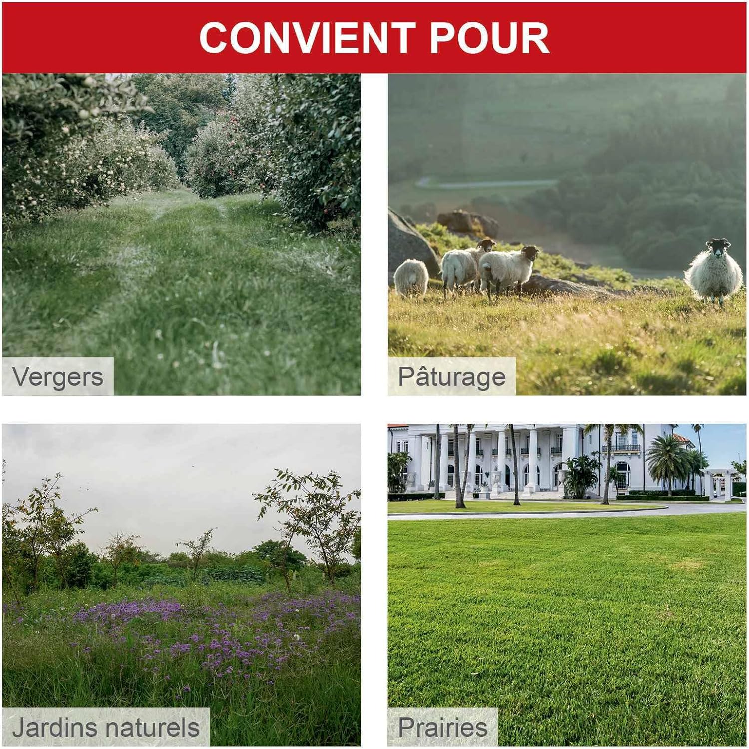 Tondeuse débroussailleuse à Gazon à Essence WMP161-56 - 800 m²/h - Largeur de Coupe 56 cm - 4,1 CV / 3 KW - Hauteur réglable 40-95 mm - avec 10 Fils de Rechange