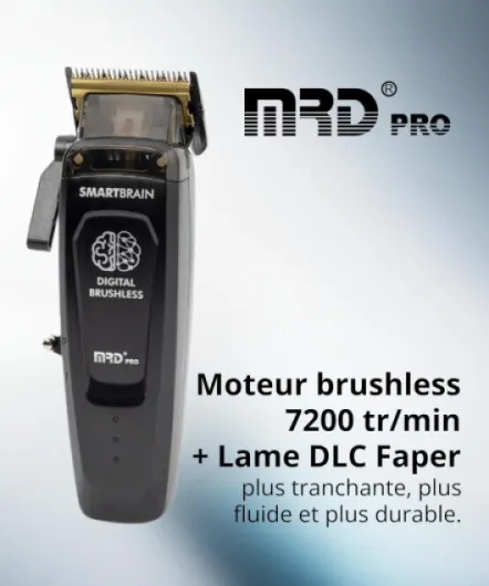 71t-XMszz6L._AC_SL1500_