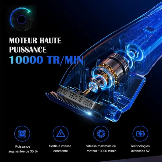 Tondeuse à cheveux professionnelle pour homme - Lame fade revêtue de titane - Lame en T réglable Zero-Gap - 5 niveaux de longueur - Peignes de guidage magnétiques - Batterie 2500 mAh et Gris